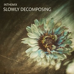 InTheMix - Slowly Decomposing