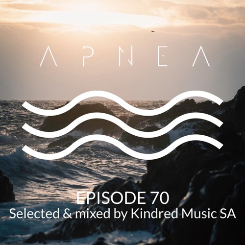 Episode 70 - Selected And Mixed By Kindred Music SA (Pocket Food Audio)