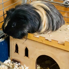 Soňa Vetchá - Etertnity Of "CH" for chamber ensemble (2021)