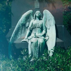 Improvised Pipe Organ