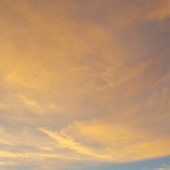 Wayfaring Stranger (metal cover)