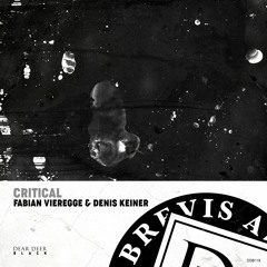 Fabian Vieregge, Denis Keiner - Critical (Original Mix)