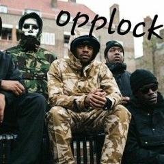 opplock_welopa