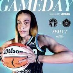 No More Flying High In LA (WNBA Edits TikToK Remix)