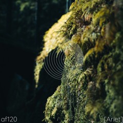 AF120 Ariet