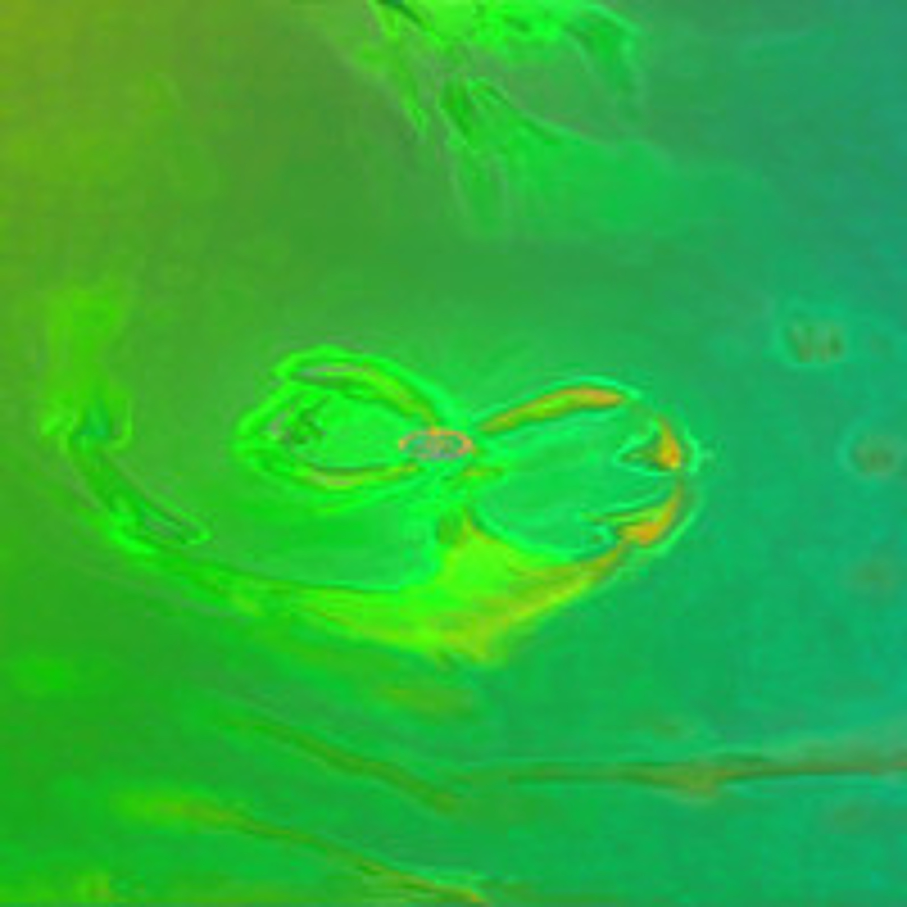 EzzzerTracks