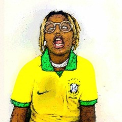 Camisa Floral - Mc Caverinha (Junior Fernandes Remix)