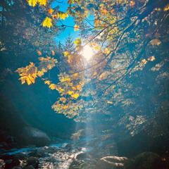 Gathering Song (jTear Sunrise Version)