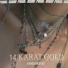 14 karat gold (prod.waxie)