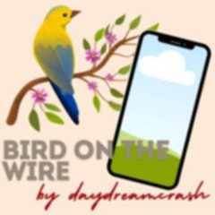 Bird on the wire