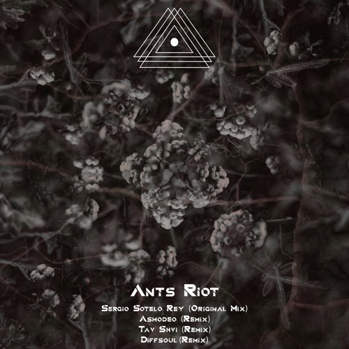 Sergio Sotelo - Ants Riot (Tav Shvi Remix)