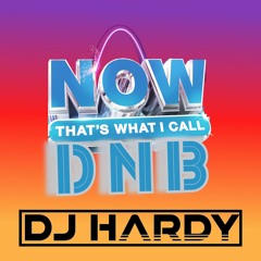 DJ HARDY - Now thats what I call DNB