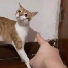 u will save me ?? #freeinglaterra @descuartizar