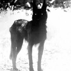 Sad sped up edit audios