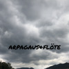 Download Video: Arpagaus&Flöte 333 Mix