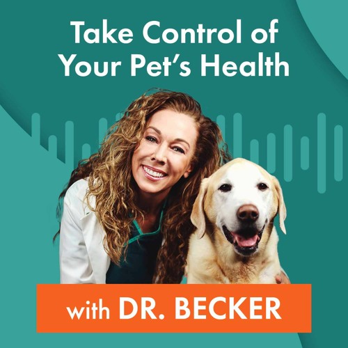 Stream AGEs in Ultra-Processed Pet Foods Can Lead to Disease ...