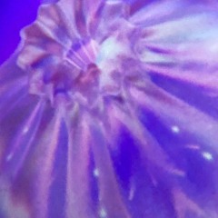 unlearning whiteness