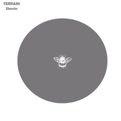Terrain - Shovin (Original Mix)