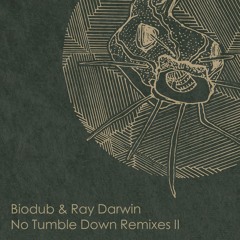Biodub feat. Ray Darwin - No Tumble Down (Frango & Simstah Remix)