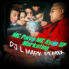 MC RYAN, MC PAIVA - MARKTING REMIX (DJ L MARK)