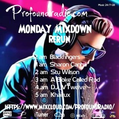 #223 Profound Radio Progressive  House @djstuwilsom