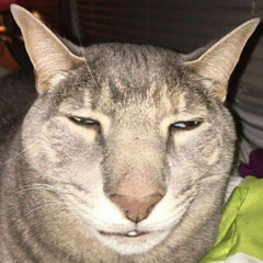 goofy meow