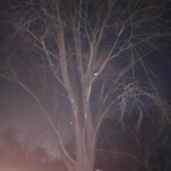 help me understand w funhvr