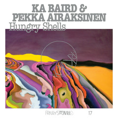 Premiere: Ka Baird & Pekka Airaksinen - Grey Body [RVNG Intl.]