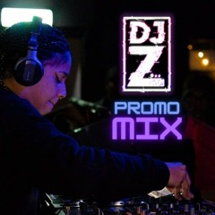 DJ Z Promo Mix 2024