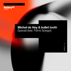 Michel de Hey, bullet tooth - Special (feat. Féline Spiegel)
