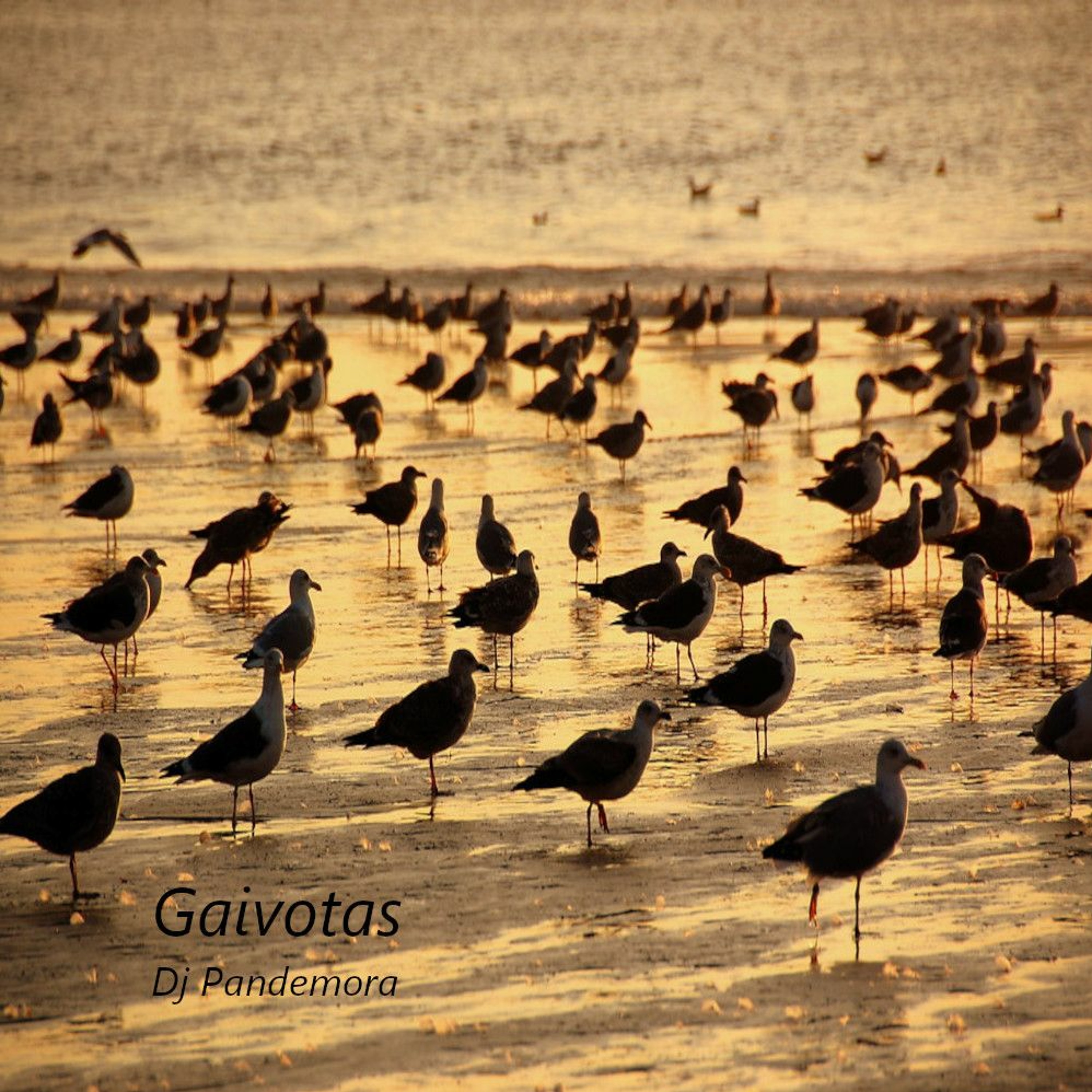 Dj Pandemora-Gaivotas episode artwork