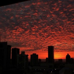 From mars to the earth