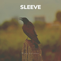 Sleeve - Nate Smith Cover