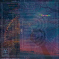 BOAR_ts - Fast Forward