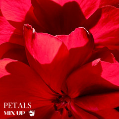 Moss - PETALS Mix // triple j Mix Up