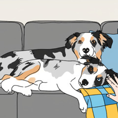 Best Pals Fur-Ever