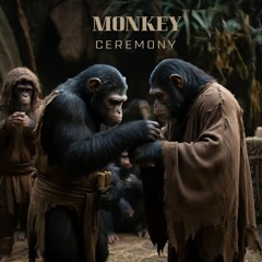 Mustafa Erman - Monkey Ceremony