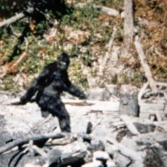 Case File 4- Bigfoot In The Hoosier State