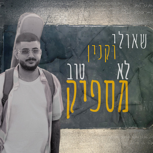 שאולי וקנין לא מספיק טוב