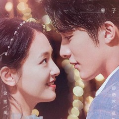 Wang Xia (王侠) - Your Name (你的名字) Skate Into Love OST《冰糖燉雪梨》