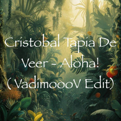 Cristobal Tapia De Veer - Aloha! ( VadimoooV  Edit)