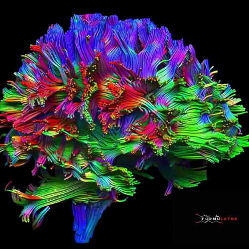 Cortical Drift