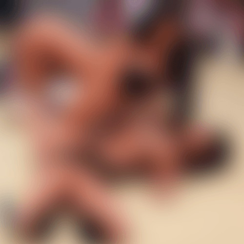 New** Video@ completo 18+ gotinha da mare portal zacarias gotinha no iml gotinha da mare morto th da maré Full Video