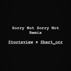 Sorry Not Sorry REMIX - Bart Orr x Tootsview