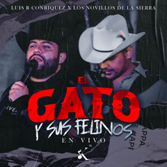 El Gato y Sus Felinos - Luis R Conriquez/Novillos De La Sierra
