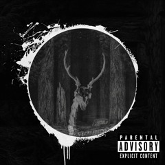 Stiwie - C.H.I.N.K.A.R.A