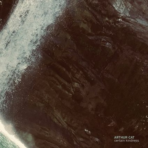 My Body's Made of Crushed Little Stars (Mitski Cover)