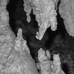 phillips michaelsaved [s]