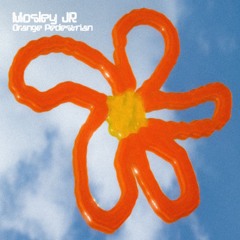 Mosley Jr - Never You Mind