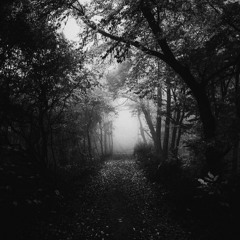 My playlist for the day - November - Sunday 1